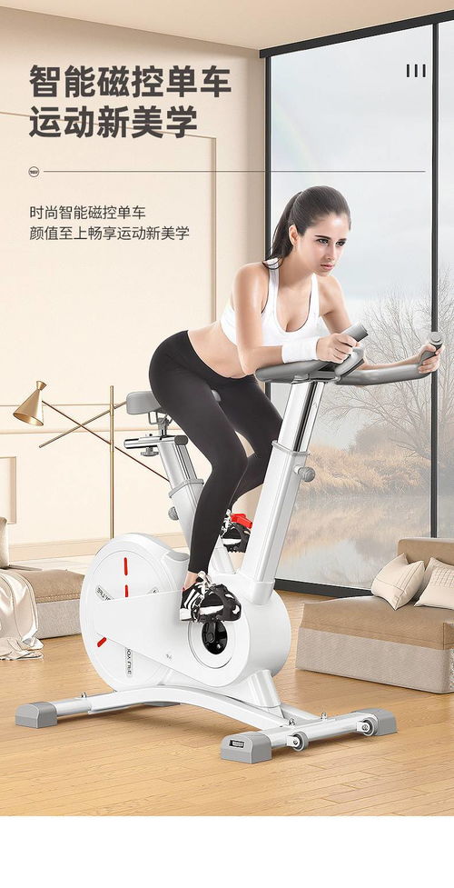 湯河店 家用磁控動感單車app智能室內(nèi)健身車多檔變速運動器材