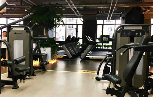 戶外健身器材 襄陽舒揚(yáng)文體用品公司 圖